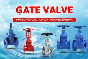 Tổng hợp các loại van cổng - Van cửa - Van chặn - Gate Valve giá tốt