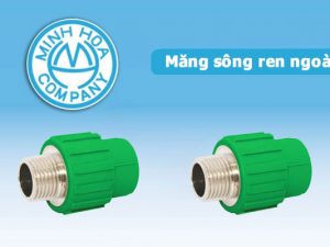 Măng sông ren ngoài nhựa PPR - Phụ kiện nhựa van Minh Hòa chính hãng