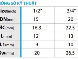 Thông số kỹ thuật của nút bịt đồng ren ngoài