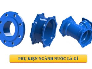 Phụ kiện ngành nước là gì